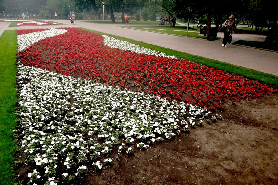 Интересные городские клумбы