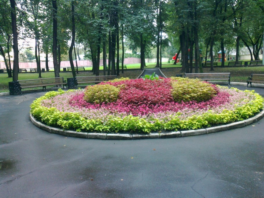 Клумбы в парках