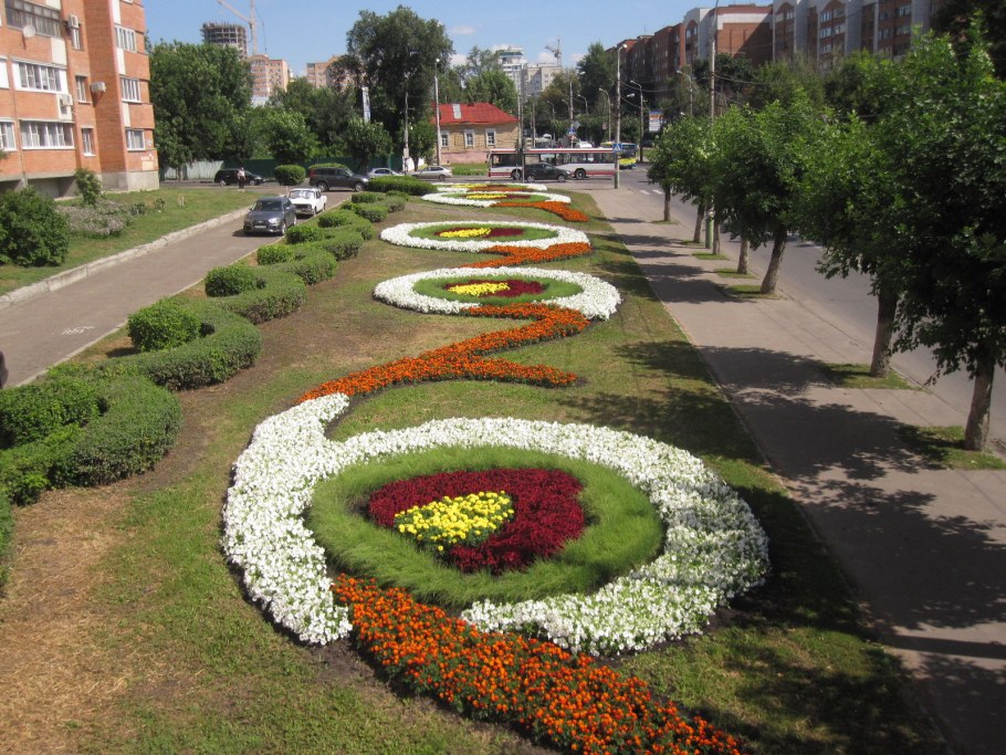 Цветник в сквере Ленина Сочи
