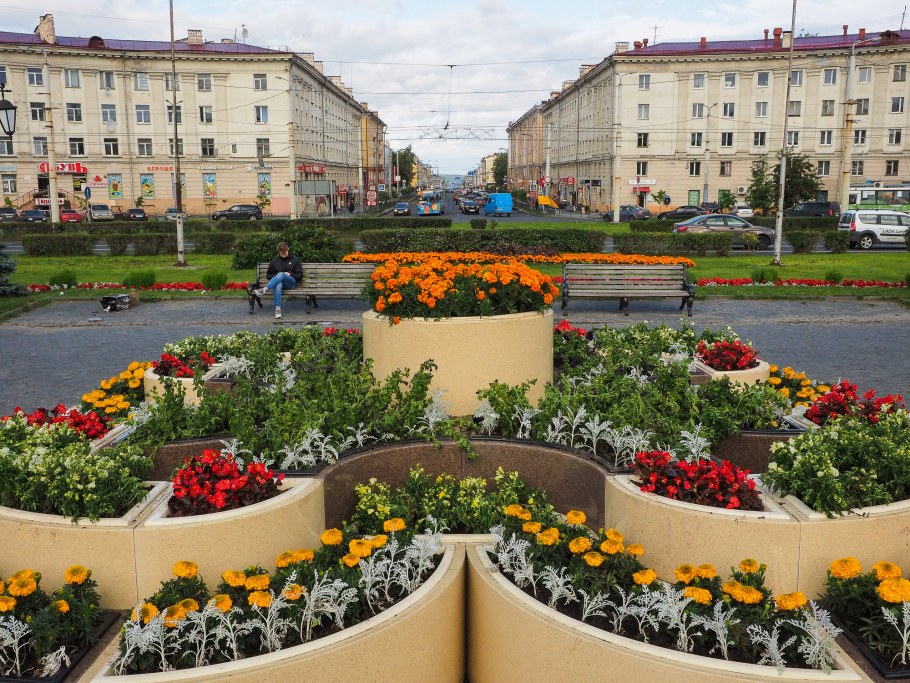 Площадь Гагарина Петрозаводск цветник
