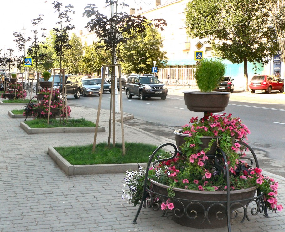 Воронеж Зеленхоз