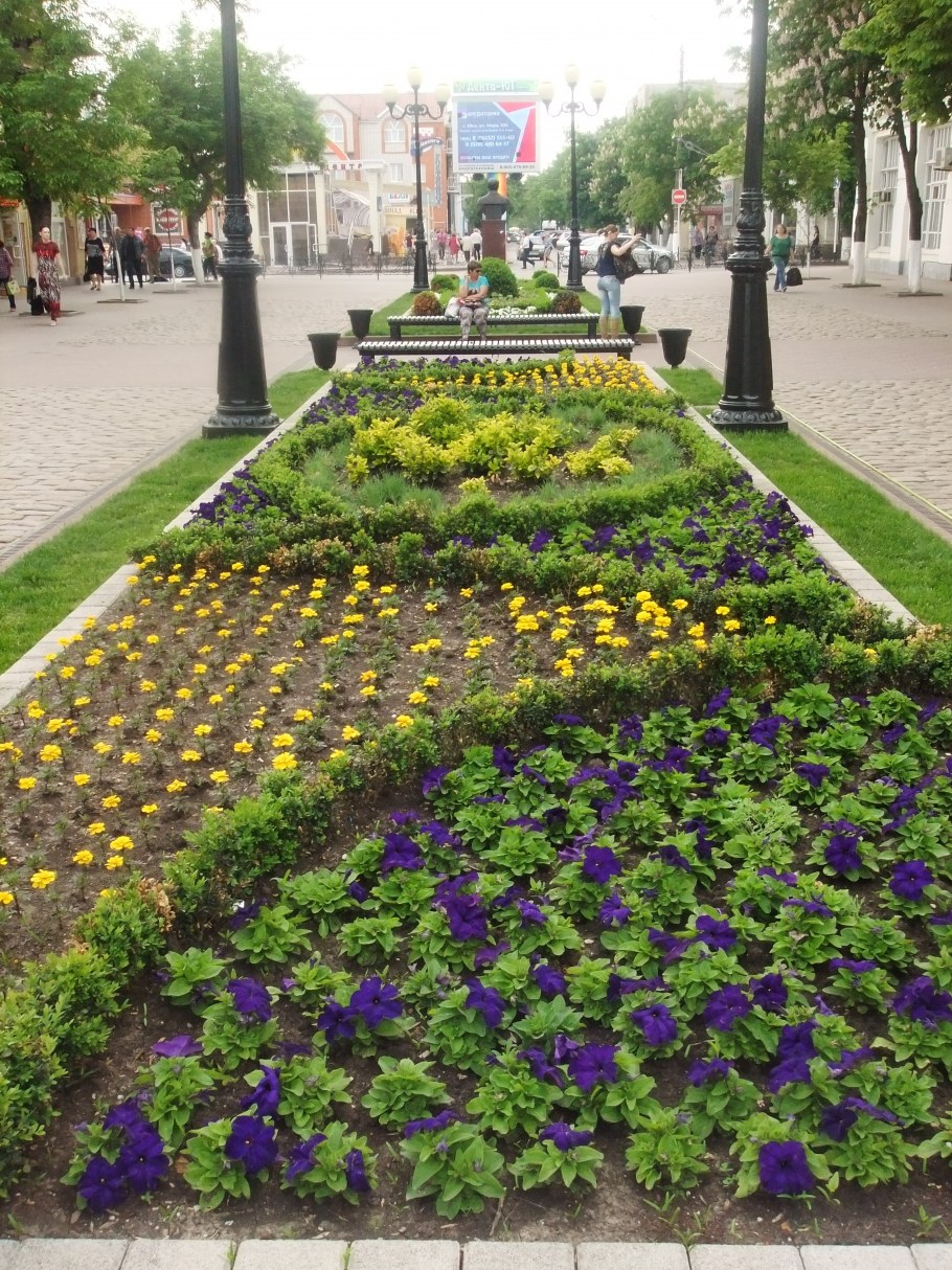 Площадь революции Красноярск лето клумбы