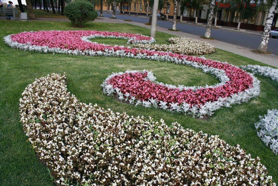 Городские клумбы