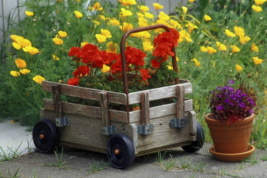 DIY Plant Gardening Puzzle