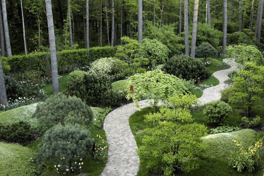 Хвойники в Лесном ландшафте