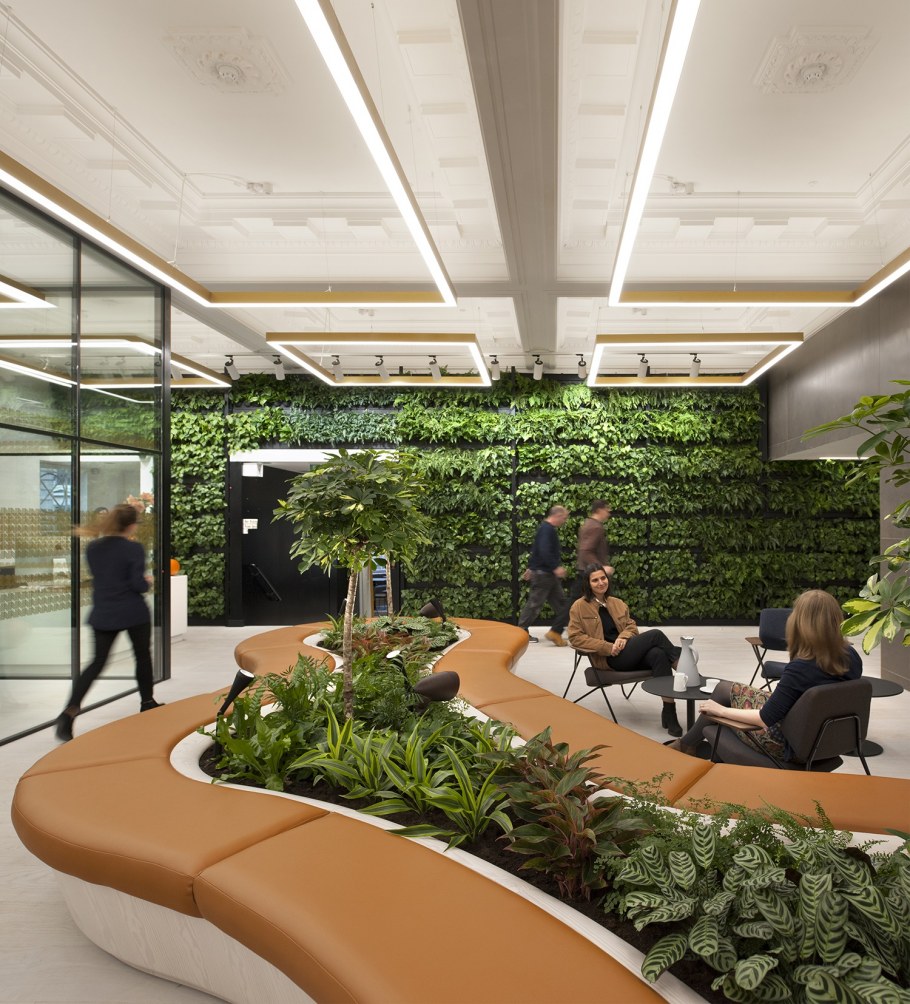 Озеленение опен Спейс