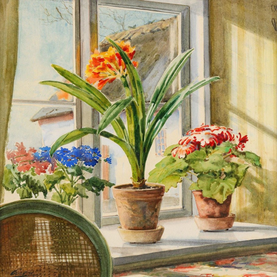 Комнатные цветы на Южное окно