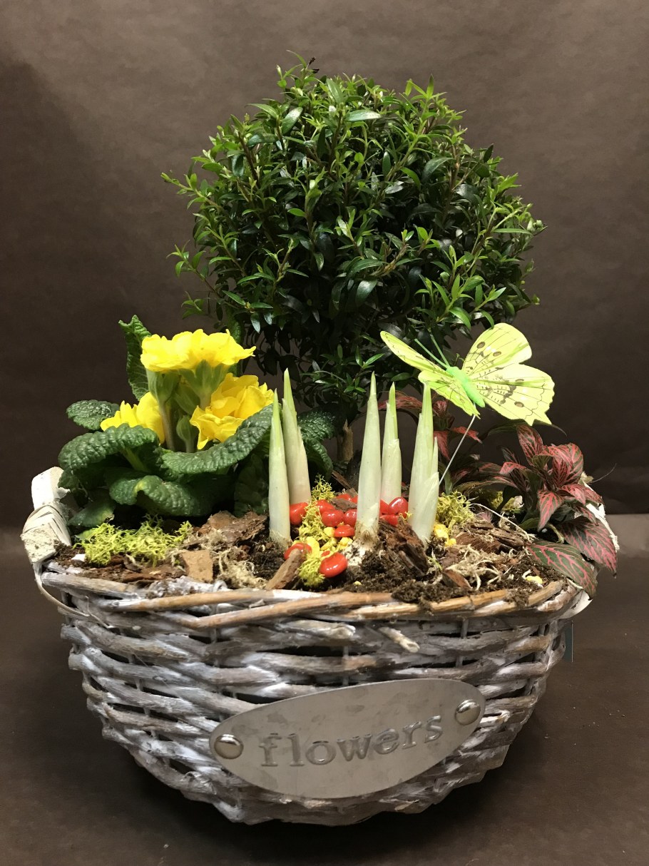 Горшечные композиции