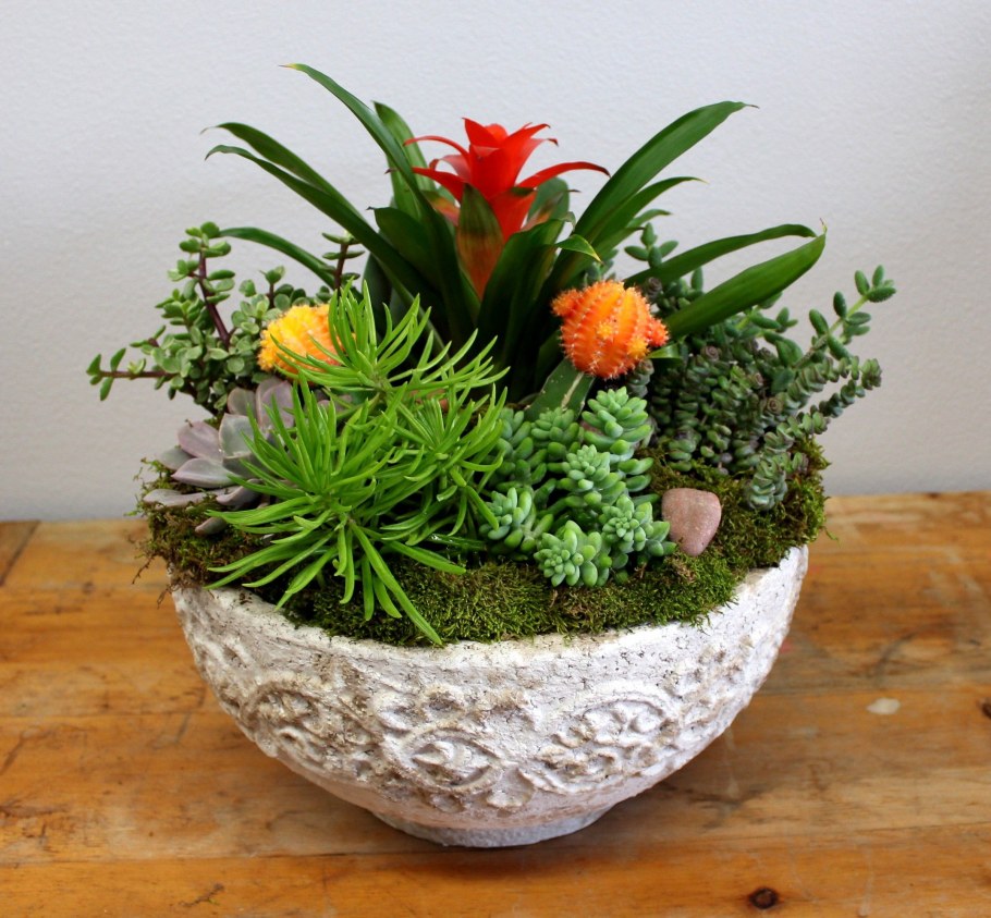 Композиции из цветов в горшках