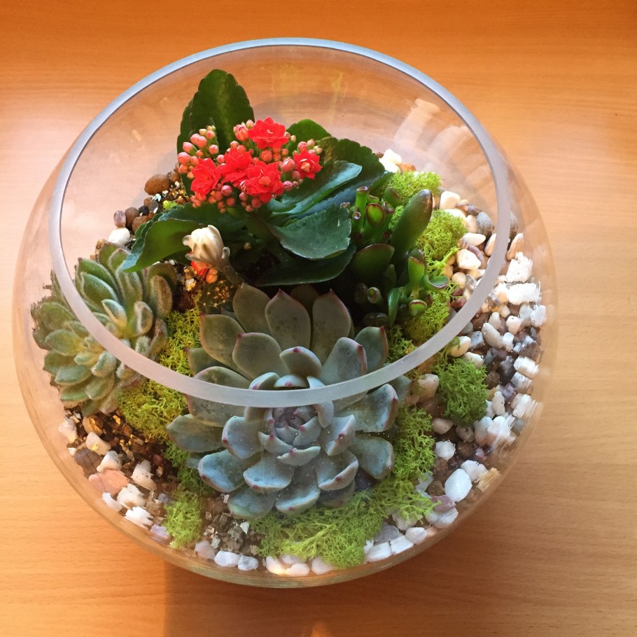 Зимняя композиция из горшечных растений и бусин, лент