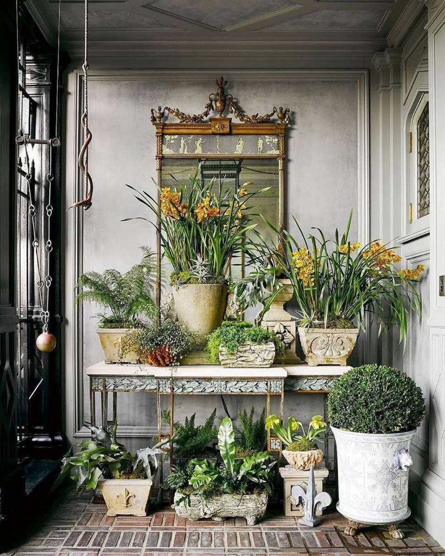 Композиции комнатных растений