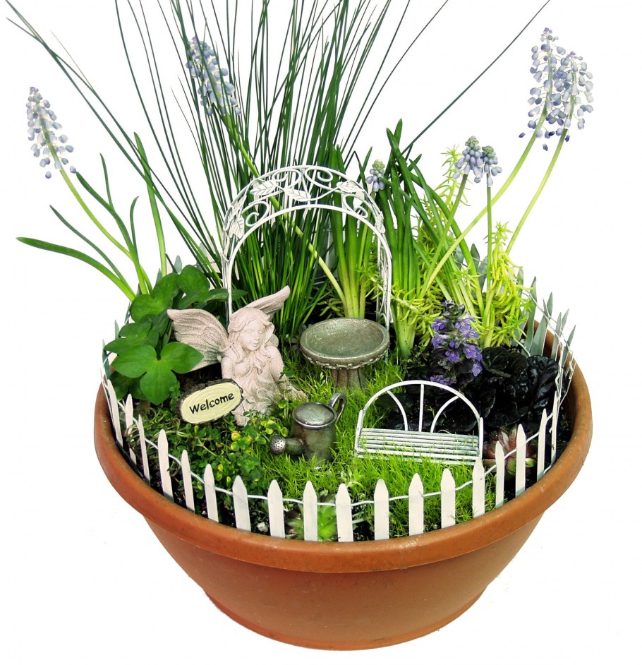 Минисад в горшке