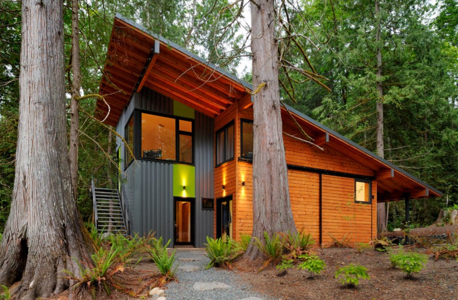 Норвежский дом с односкатной крышей