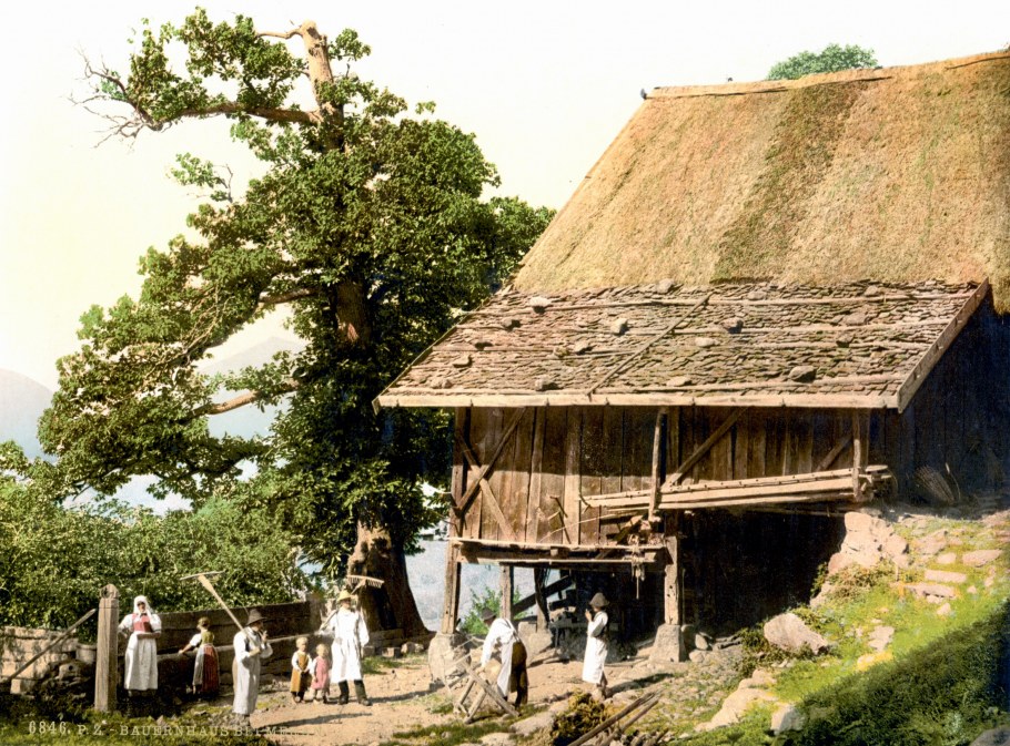 Дом викингов внутри