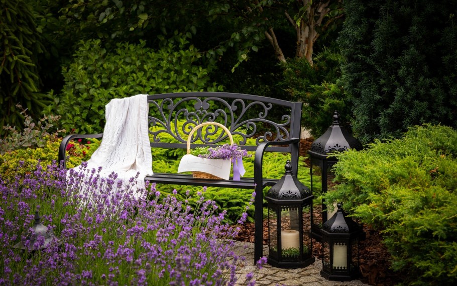 Лаванда в саду