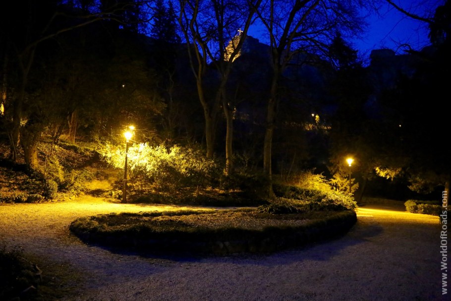 Ботанический сад ночью