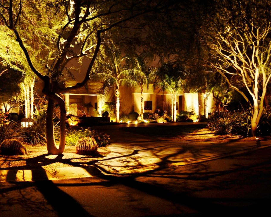 Подсветка деревьев в саду