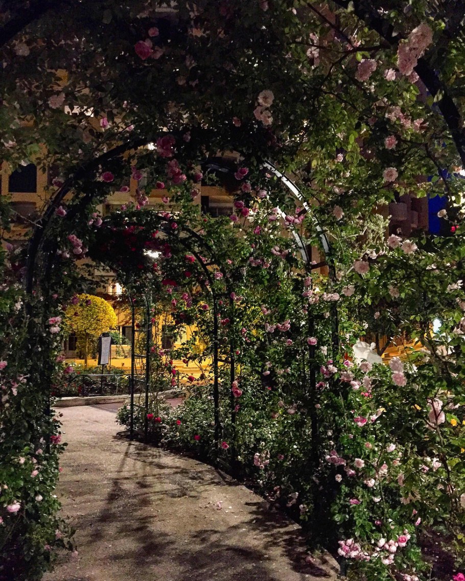 Вечер в саду