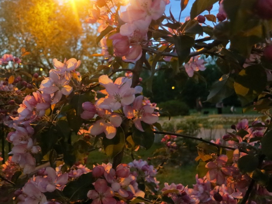 Весенний вечер