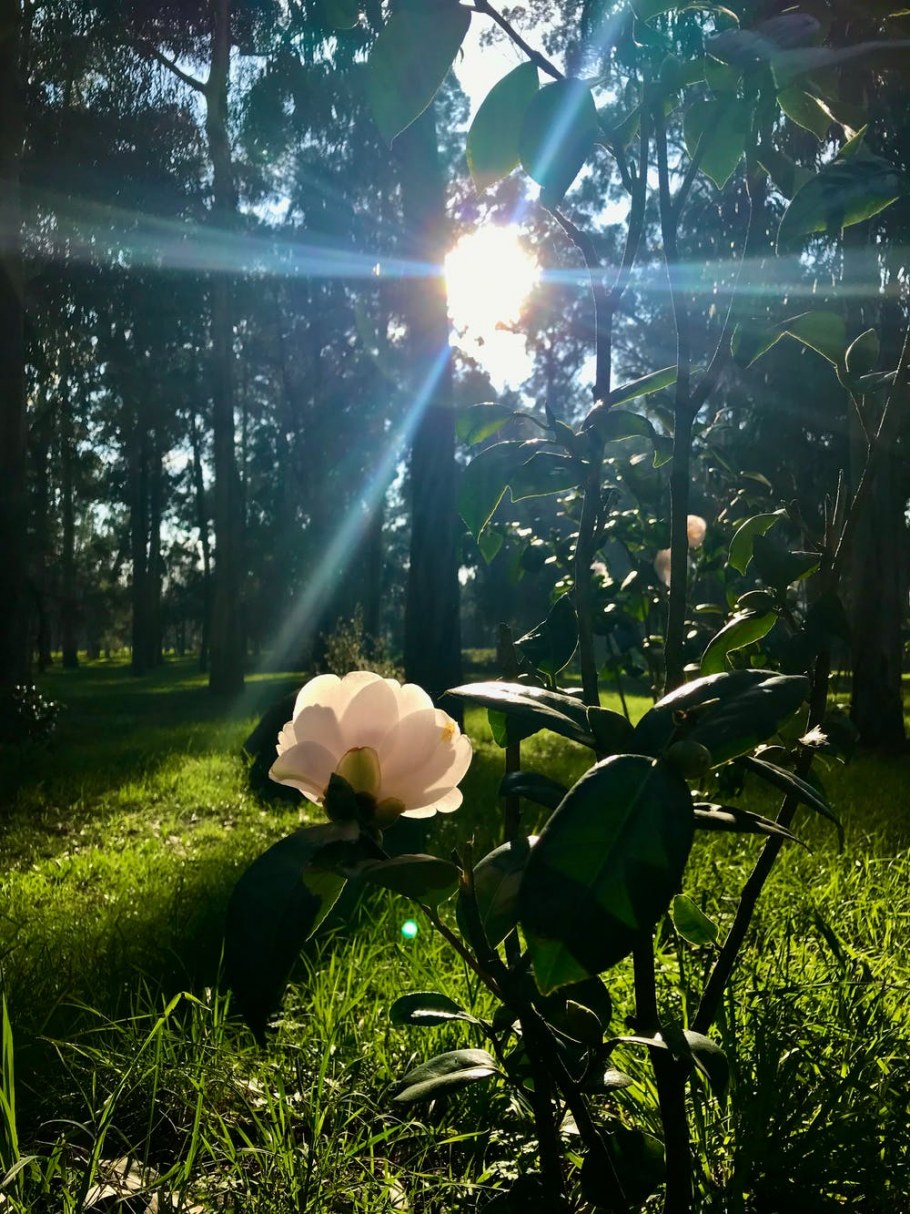 Вечернее солнце