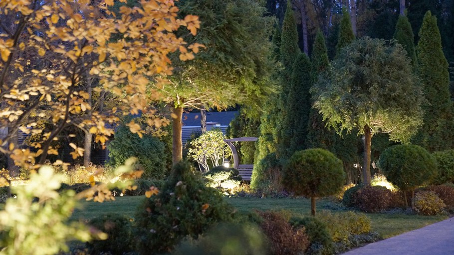 Ландшафтная студия пейзаж