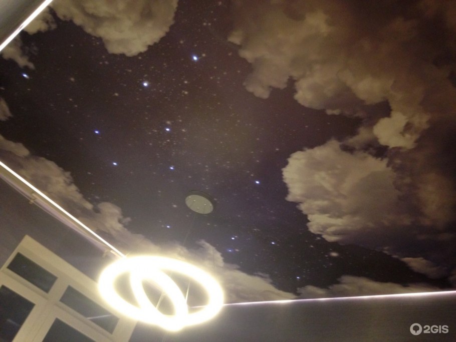 Мои абрикосы