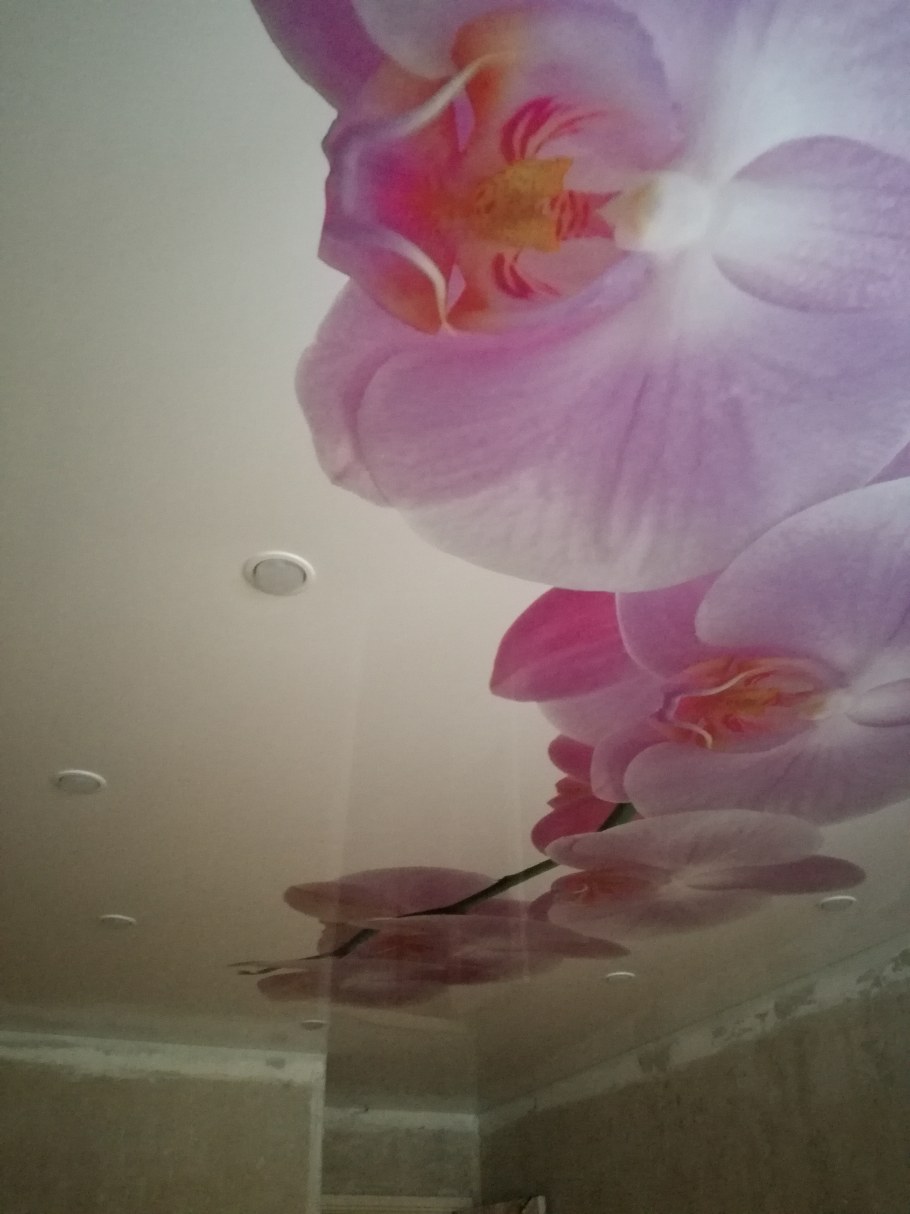 Фреска на потолке в квартире