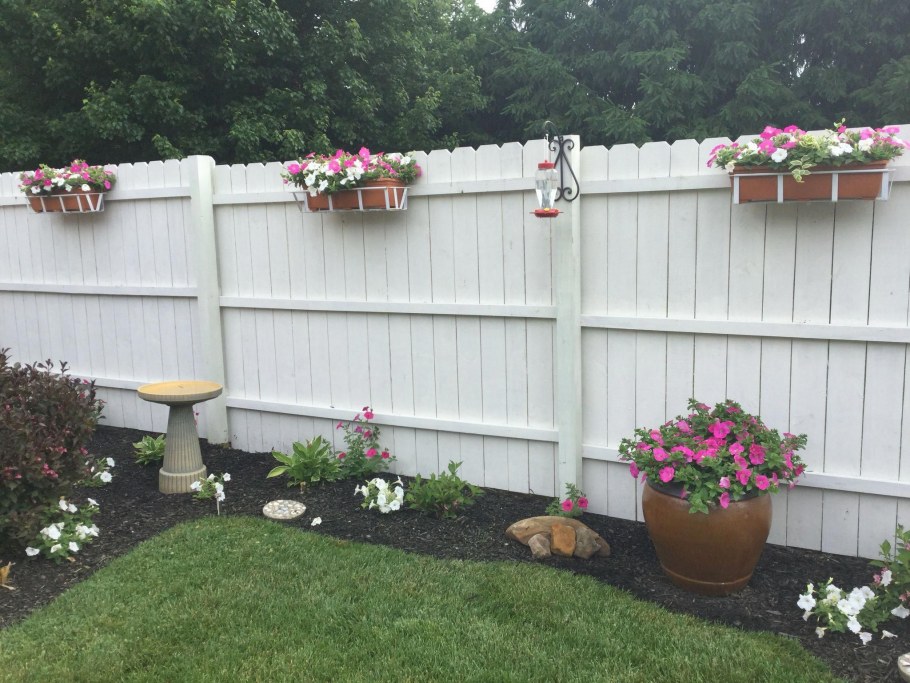 Озеленение забора из профнастила