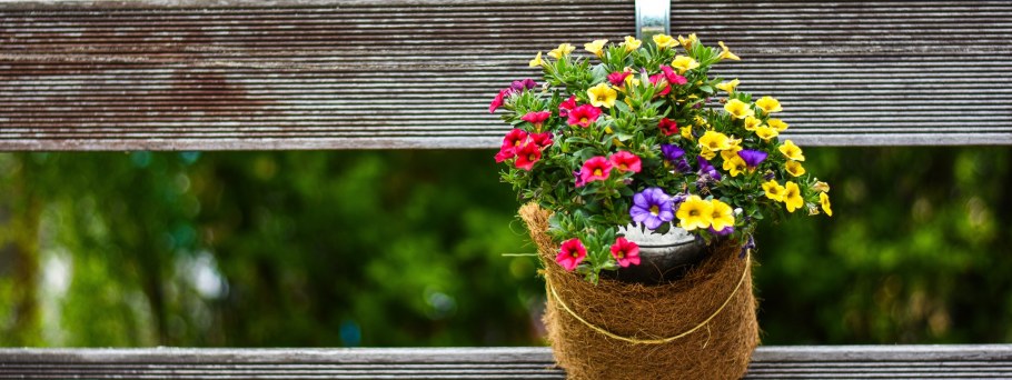 Забор с горшками на фоне моря