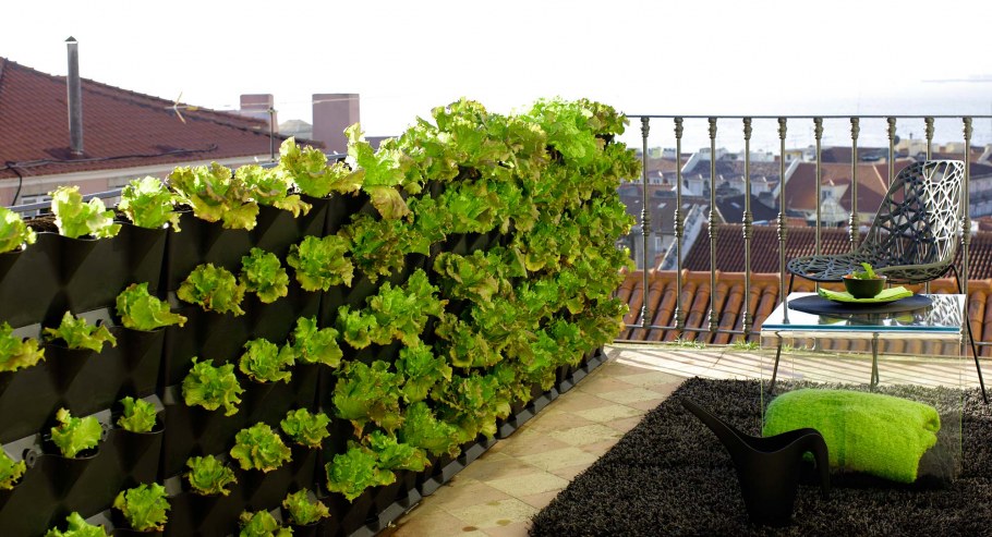 Конструкции для вертикального озеленения