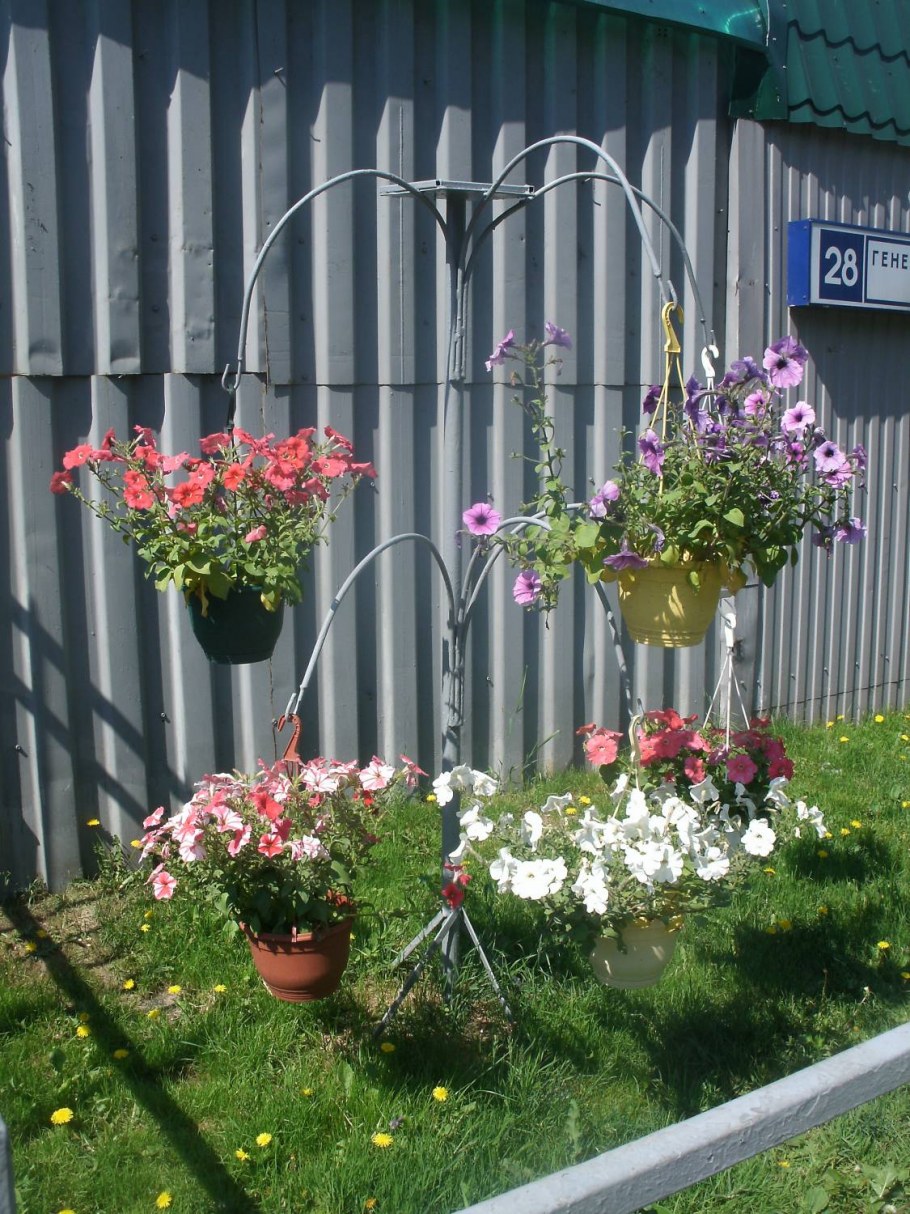 Стойки для петуний в саду