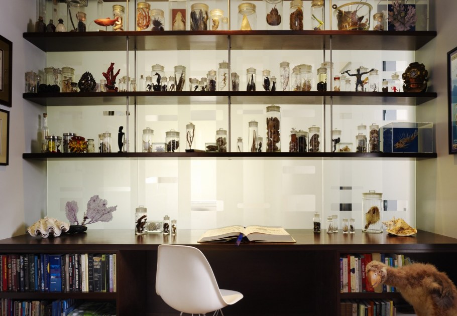 Ямщицкие колокольчики