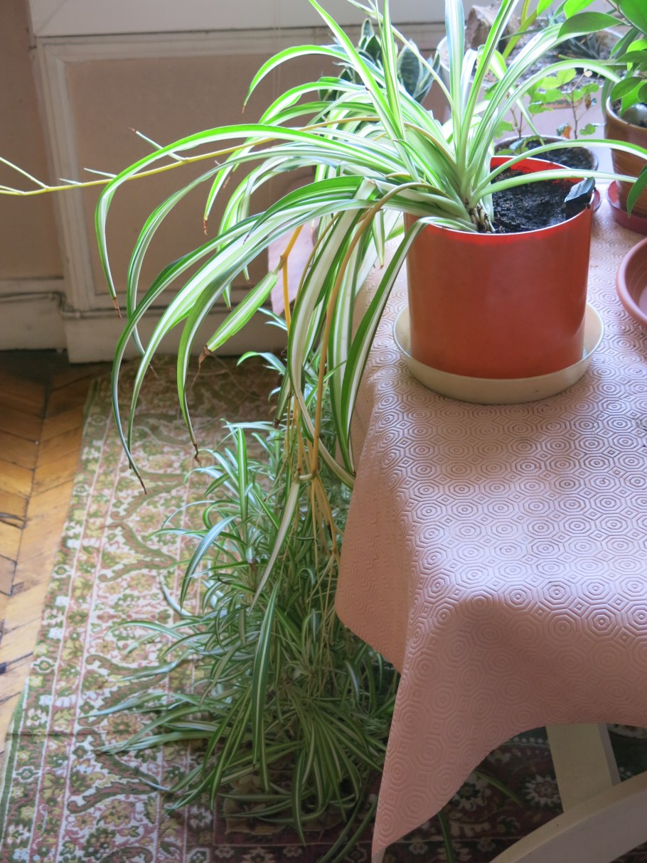 Подставка для комнатных растений