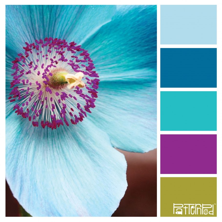 Сочетание цветов к Бирюсе