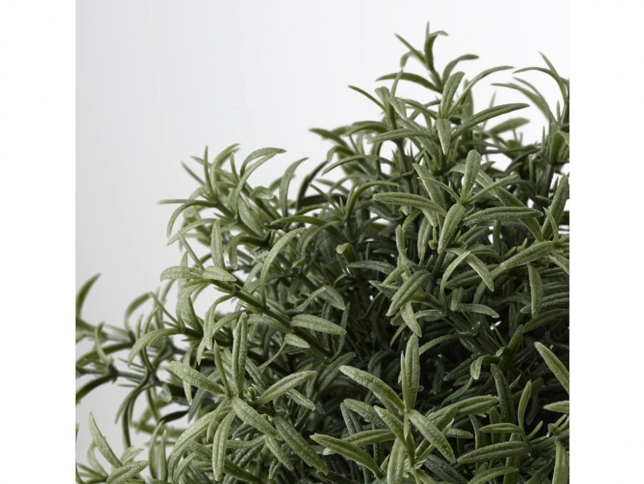 Розмарин, 300 гр