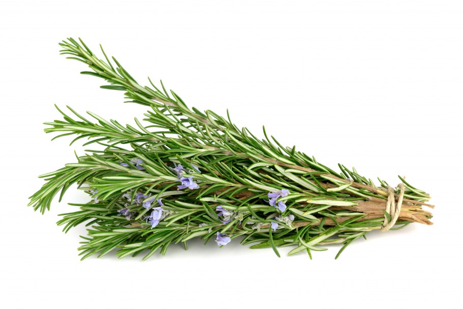 Екатерина Платонова дизайнер