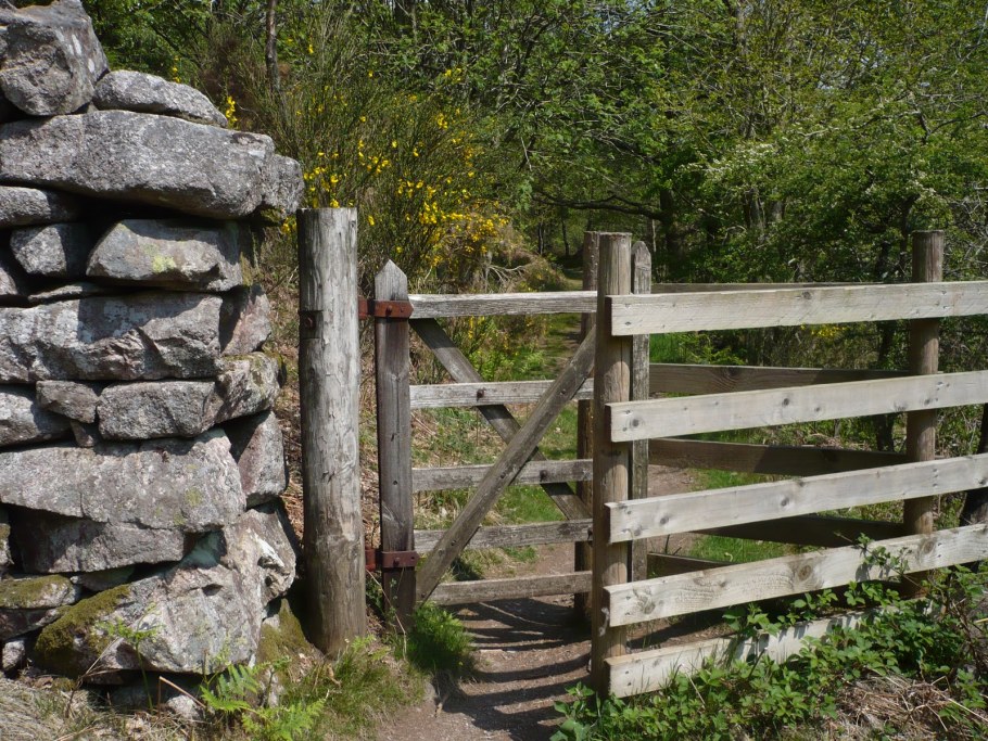 Забор из жердей