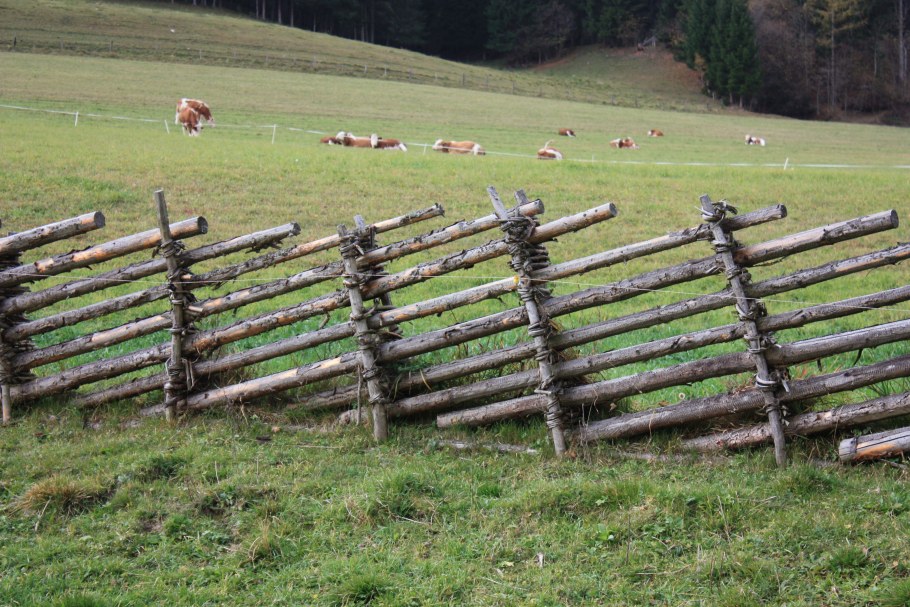 Заборы в Австрии