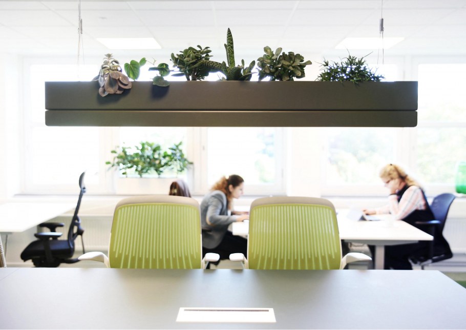 Стиль Биофилия в интерьере