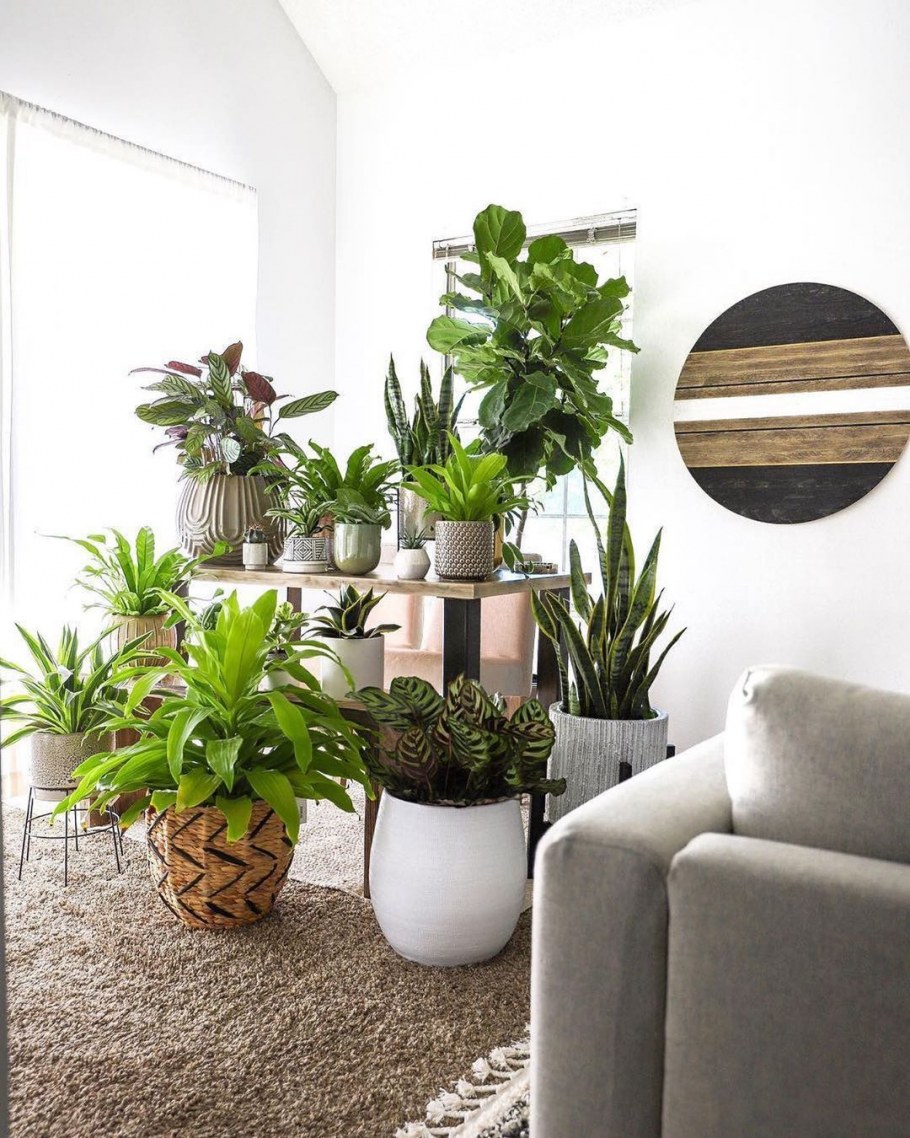 Биофилия стена