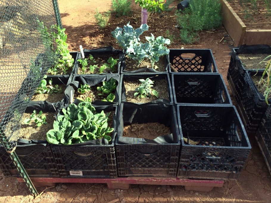 Корзина из линолеума для цветника