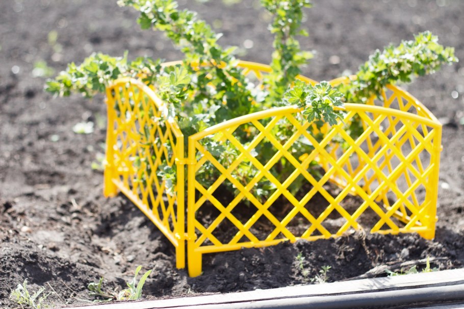 Бордюр из террасной доски