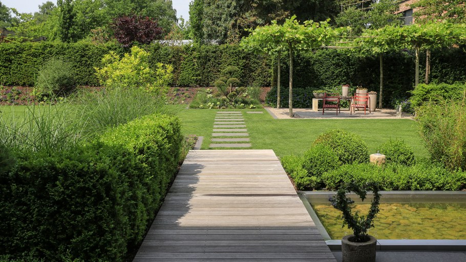 Лесной сад в стиле Минимализм ландшафтный