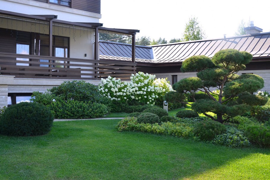 Хвойный садик в минималистическом стиле