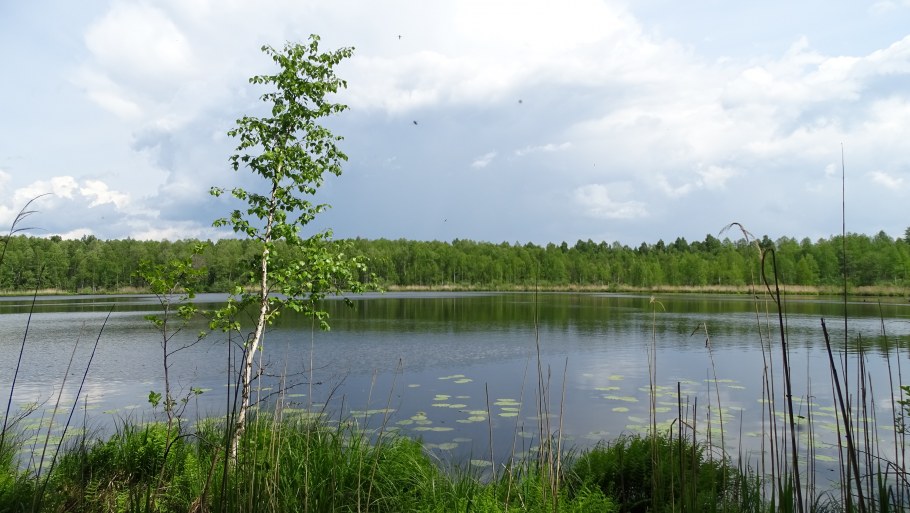 Новорижское шоссе поселки