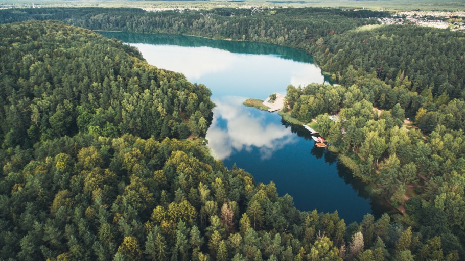 Клинский район Дятлово Заповедное озеро