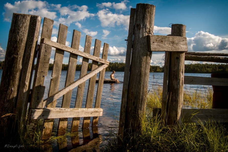 Старый деревенский забор