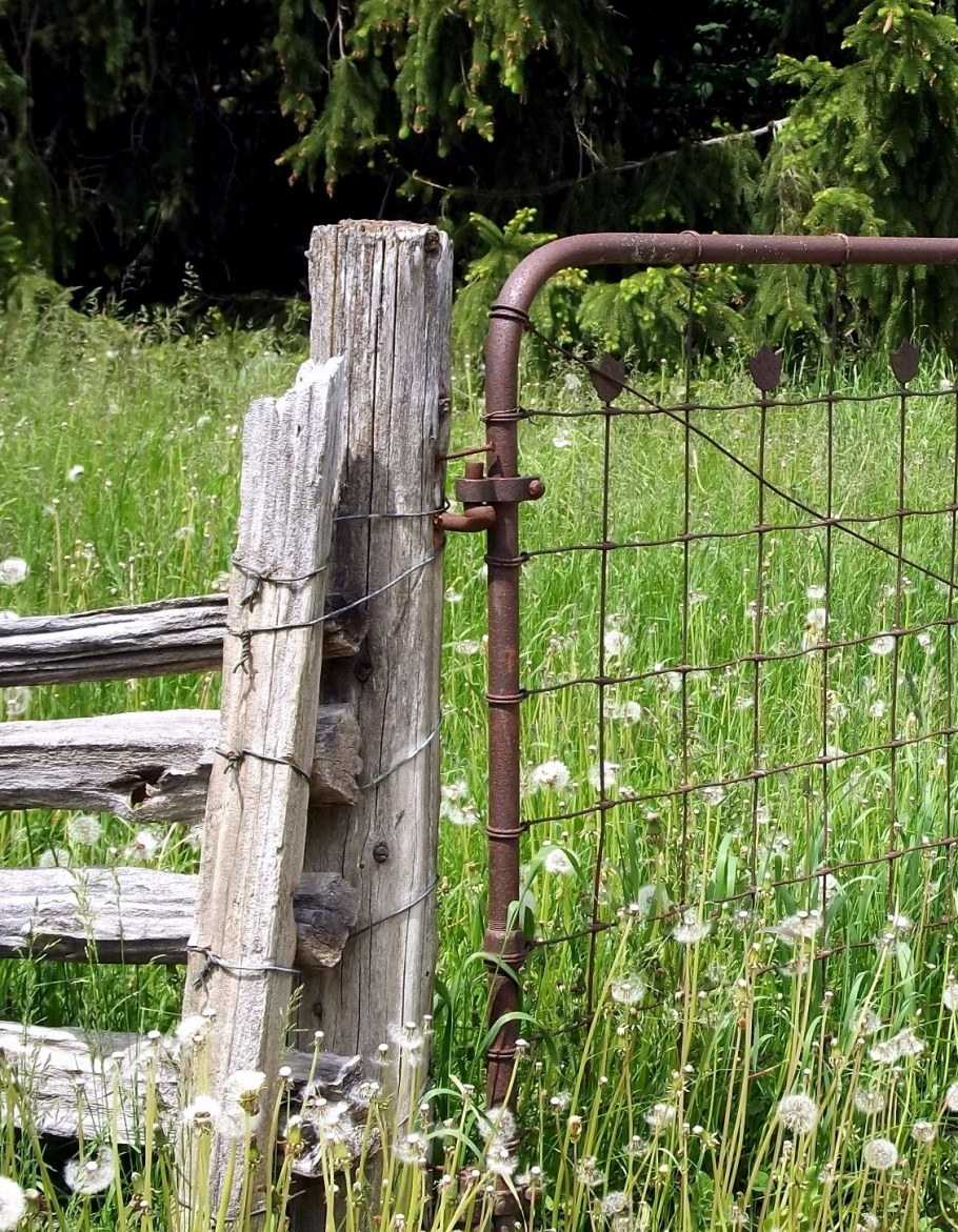 Изгородь в деревне