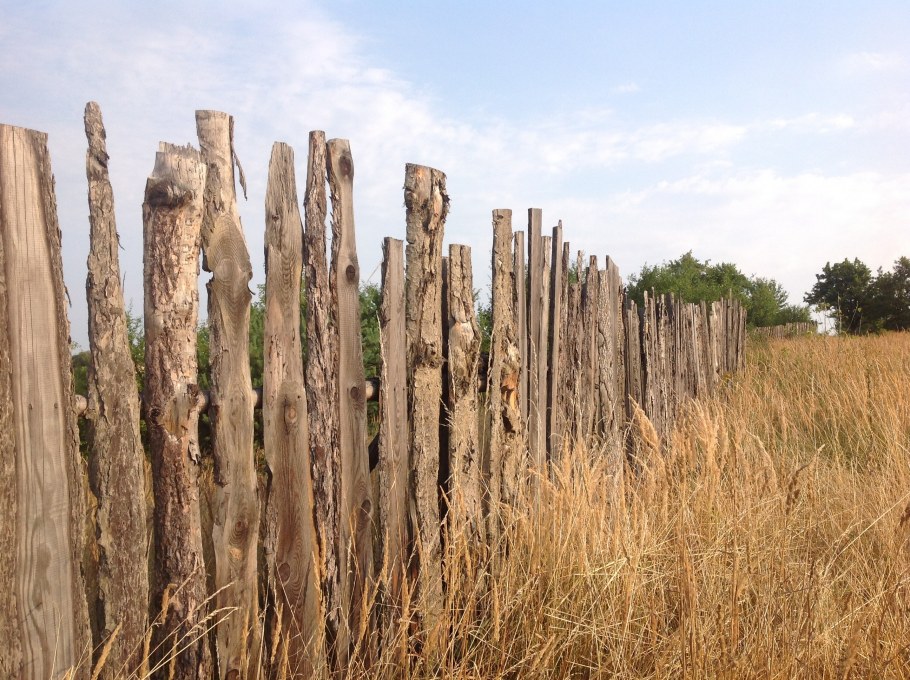 Старый деревянный забор