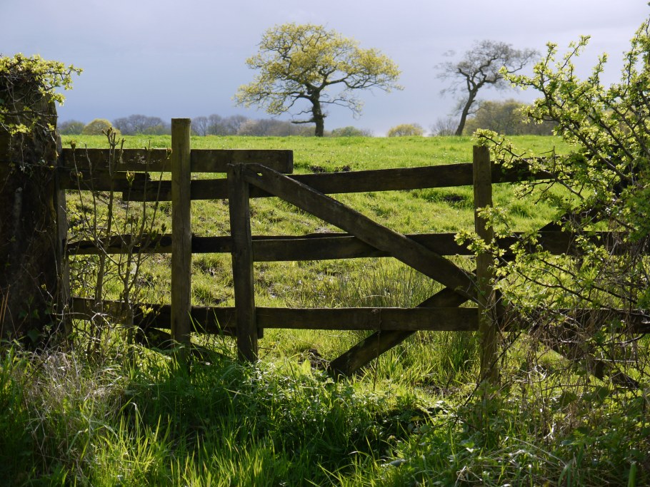 Изгородь в деревне
